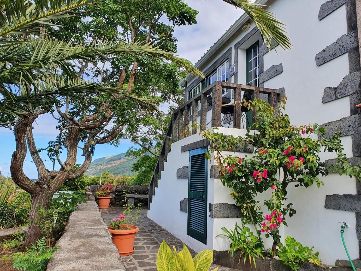 Villa Casa Do Gato Preto à Santo Amaro  Extérieur photo